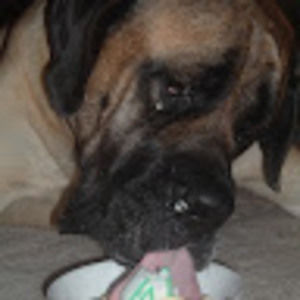 Meet your Posher, Masin